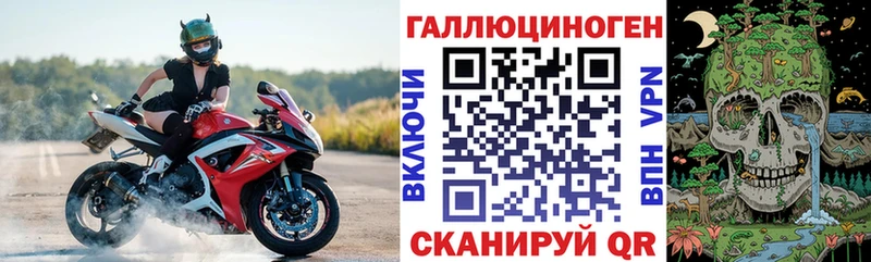 Галлюциногенные грибы Psilocybe  гидра   Данилов 